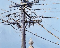 "It's Complicated" 2019. Oil on canvas. 33x33cm. A power pole packed with wires and looking frantic (complicated), almost vibrating. It's a nice contrast with a pale sky and the calm stability of the building detail. SOLD