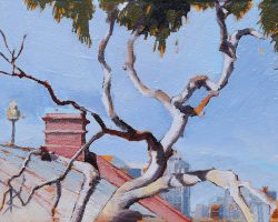 "Birchgrove Tree" 13x17cm, oil on canvas 2021. A beautiful tree on Spring Street with the city beyond.