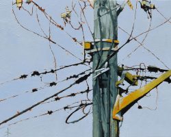 "Frenzy"  33x43cm, oil on canvas 2022, American Ash framed. Old power lines tangled like a web around an old power pole. Shapes of the connectors and joins remind me of wasps buzzing around a nest. This one could be set to music. Contact Suzy to purchase.