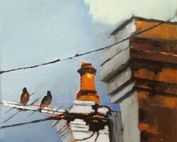 "Birds on Coulon Street" 17x13cm, oil on canvas 2023. Looking up at the powerlines against a very white chimney, the birds were sitting on an antena and deep in conversation.  🔴 SOLD