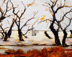 'After the Rain'. oil on board. 2025. 13 x 23cm. During long draughts many trees die in the outback but they hold on in parched cracked ground. When the rain comes, the water has nowhere to and low lying land floods. It's harsh. But the trees remain standing and there is beauty in deserted landscapes like these with subtle colours, calm silence and distant sounds of chirping birds. 
➡️ AVAILABLE: VAS GALLERIES Melbourne UNTIL 3 AUGUST (link to show/enquiries on my home page)