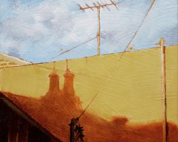 'Shadow Patterns 6 ' oil on canvas. 2025. 23x23cm framed.
This wall is like a blank canvas, the shadow of the adjoining building can be very soft or really bold but the shapes broken by the fine wires are lovely.. Available from the Moree Gallery.